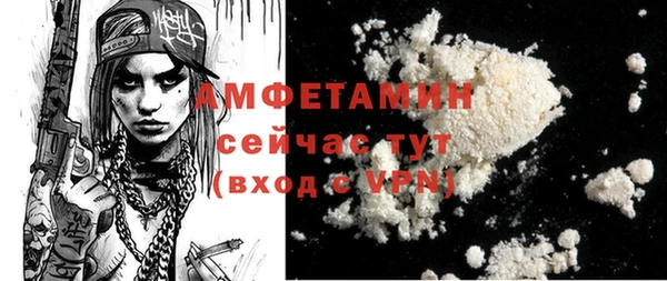спиды Дмитриев