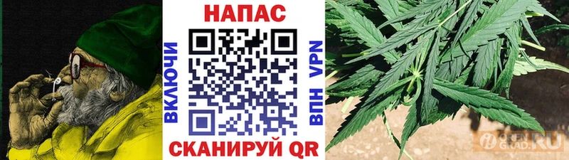 Бошки Шишки семена Братск